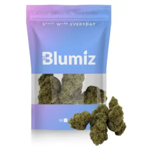LEISTUNGSSTARKE CBD-BLUME Gorilla Glue BLUMIZ